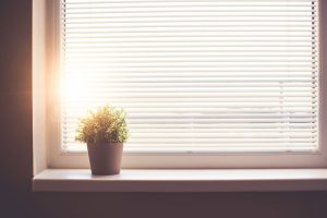 Sunshine Through a Window